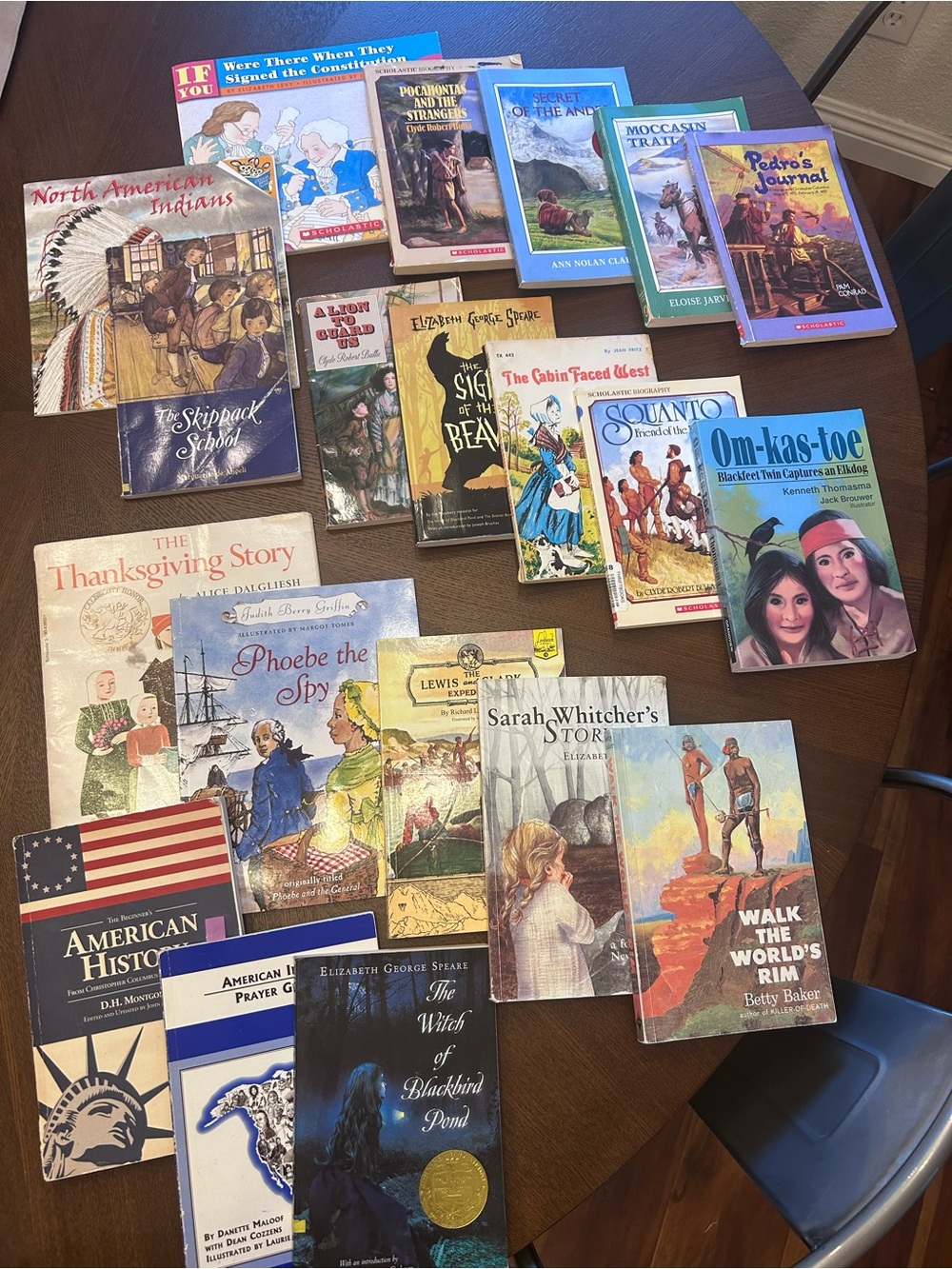 Sonlight BookShark D American History Readers Lot of 20